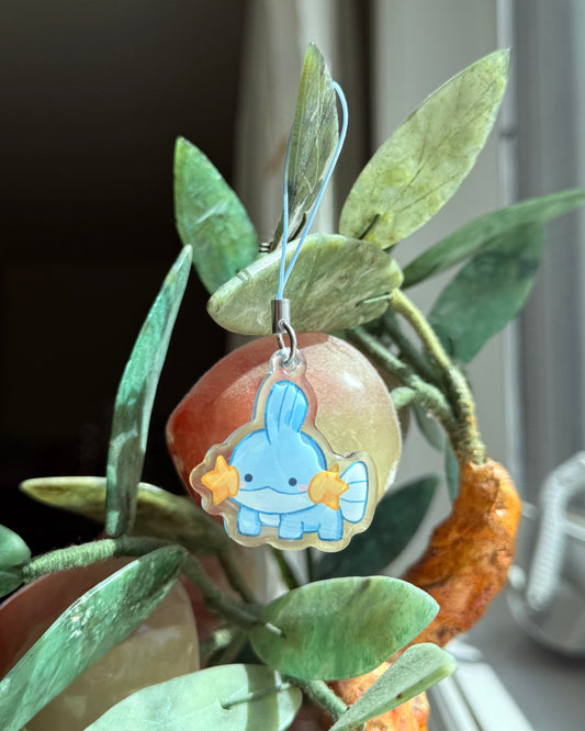 mudkip charm - pokémon